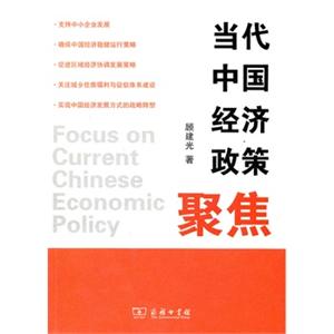 当代中国经济政策聚焦